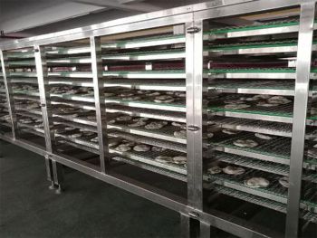 Tortilla Bread Production Line (Support Customization)