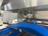 Tray Arranging Machine (Automatic Panning System)