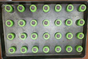 Tray Arranging Machine (Automatic Panning System)