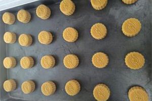 Tray Arranging Machine (Automatic Panning System)